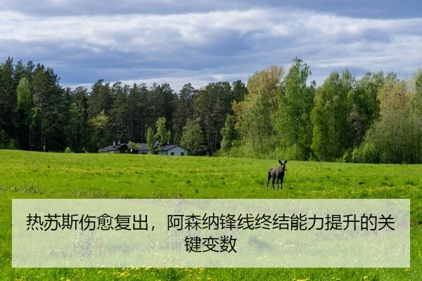 re-su-si-shang-yu-fu-chu-a-sen-na-feng-xian-zhong-jie-neng-li-ti-sheng-de-guan-jian-bian-shu-3-392.jpg