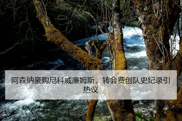 阿森纳豪购尼科威廉姆斯，转会费创队史纪录引热议